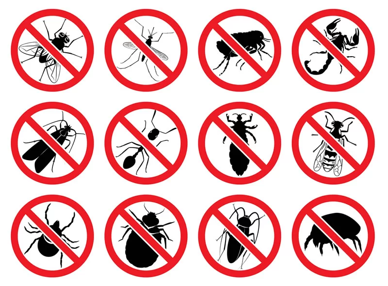 Controle de Pragas Urbanas SP